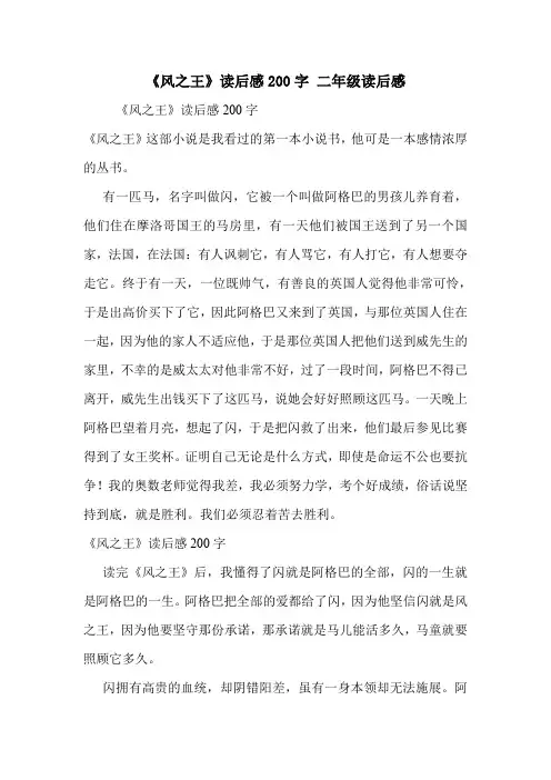 《风之王》读后感200字 二年级读后感