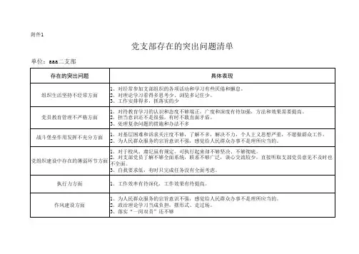 两学一做党支部问题整改台帐