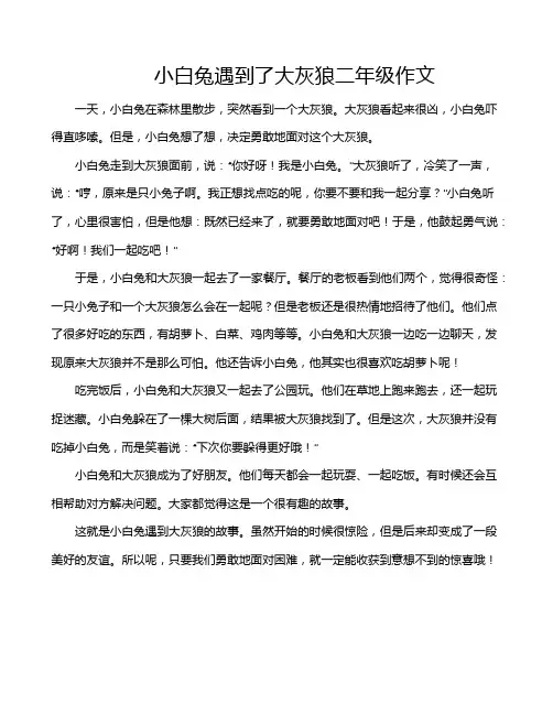 小白兔遇到了大灰狼二年级作文