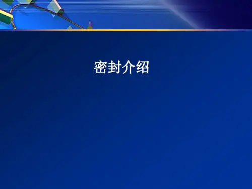 密封.ppt