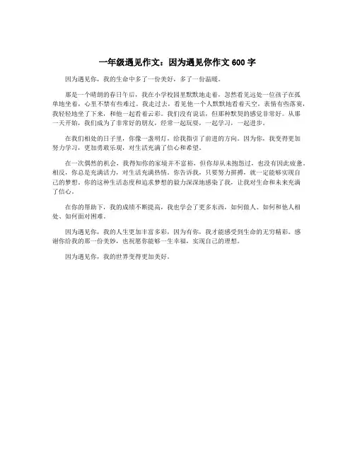 一年级遇见作文：因为遇见你作文600字