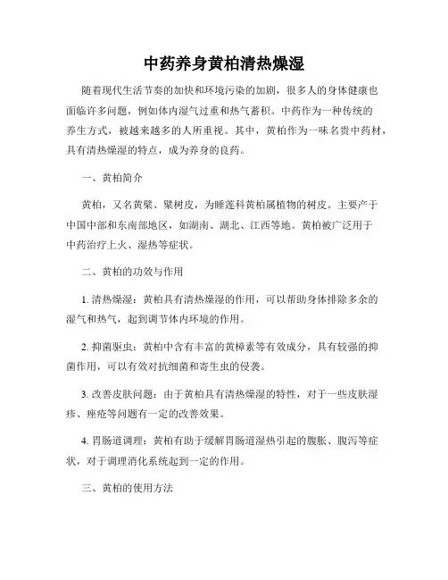 中药养身黄柏清热燥湿