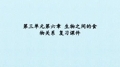 苏科版七年级生物上册：第六章  生物之间的食物关系  复习课件