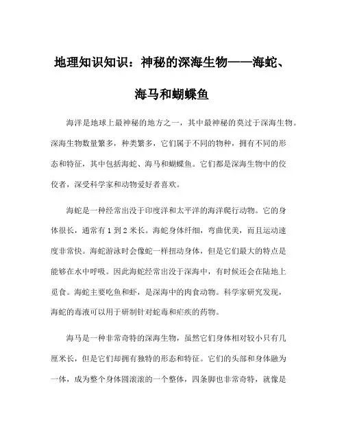 地理知识知识：神秘的深海生物——海蛇、海马和蝴蝶鱼
