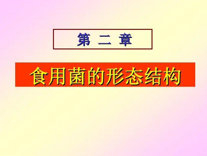 食用菌的形态结构