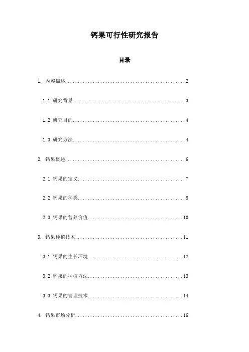 钙果可行性研究报告