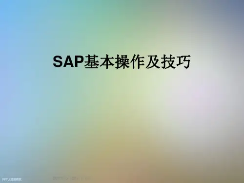 SAP基本操作及技巧