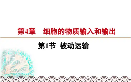 生物必修一：被动运输PPT课件