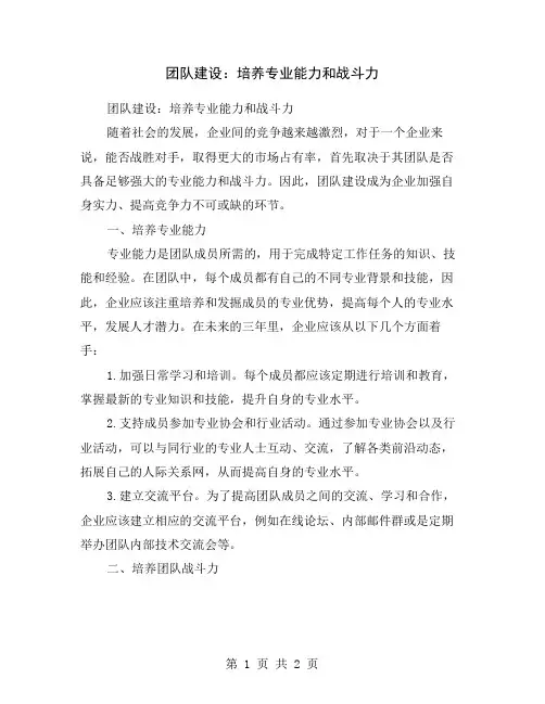 团队建设：培养专业能力和战斗力