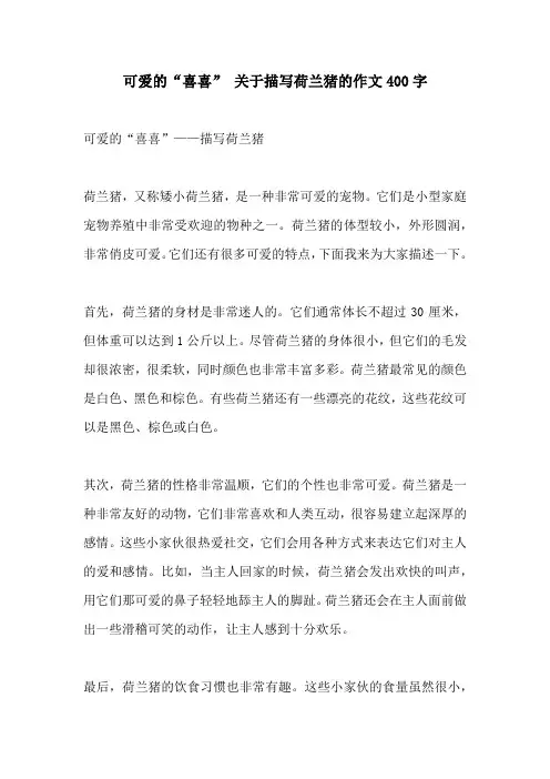 可爱的喜喜 关于描写荷兰猪的作文400字