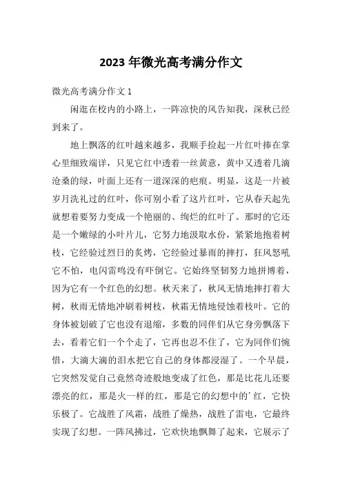 2023年微光高考满分作文
