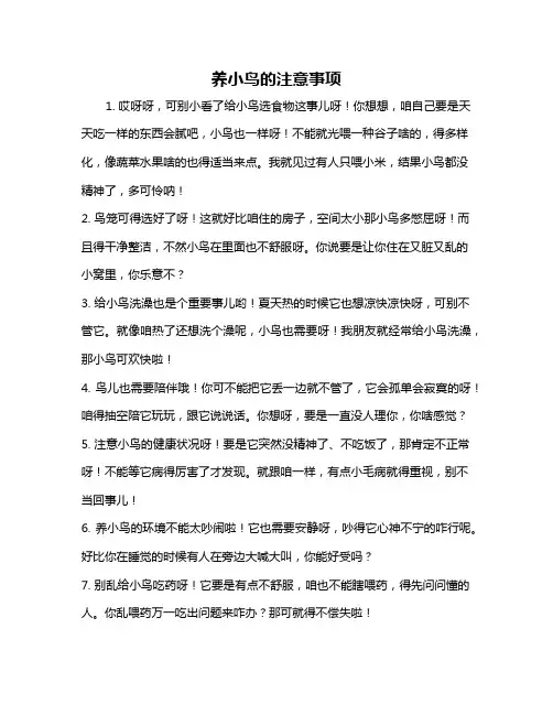 养小鸟的注意事项