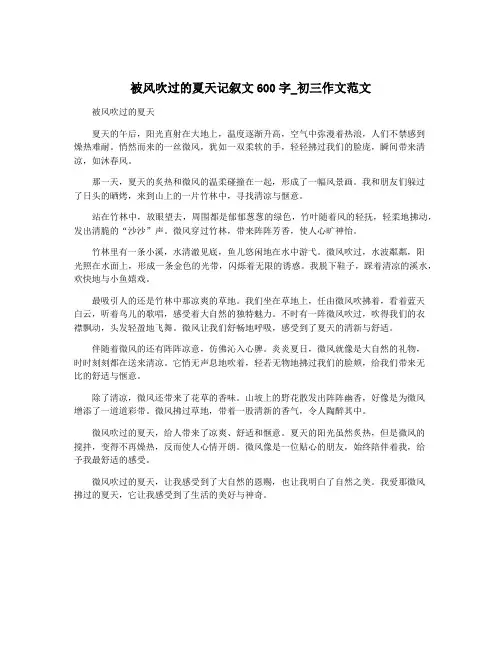 被风吹过的夏天记叙文600字_初三作文范文