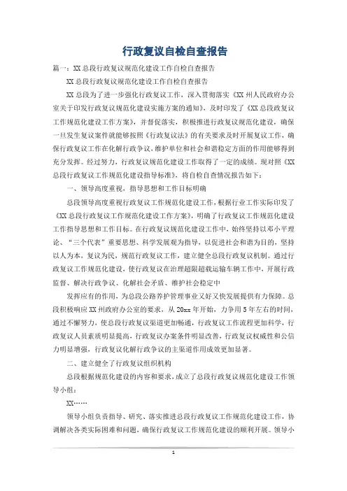 行政复议自检自查报告