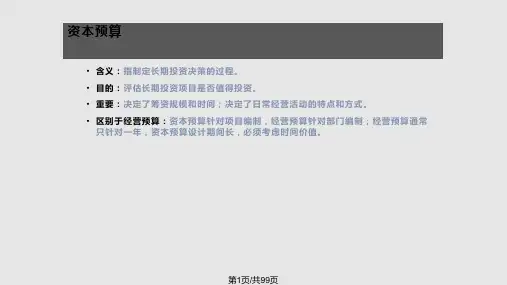财务管理学资本预算PPT课件