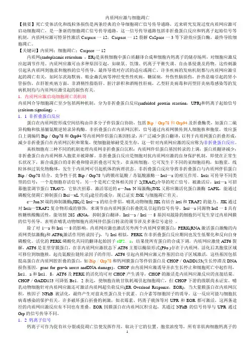 内质网应激与细胞凋亡