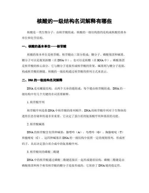 核酸的一级结构名词解释有哪些