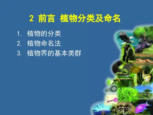 植物分类及命名