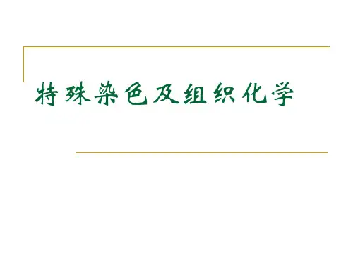 (上课用) 特殊染色和组织化学PPT课件