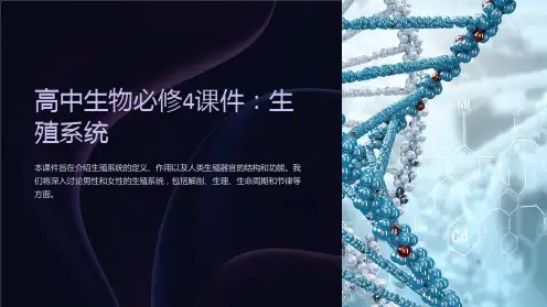 《高中生物必修4课件：生殖系统》