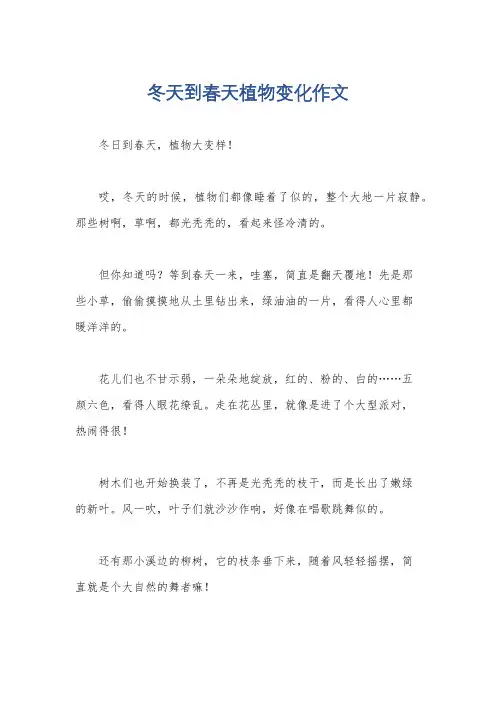 冬天到春天植物变化作文