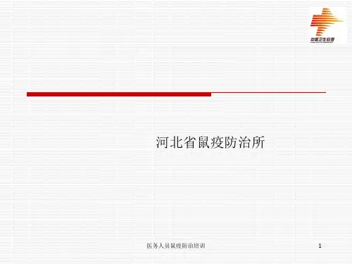 医务人员鼠疫防治培训PPT课件