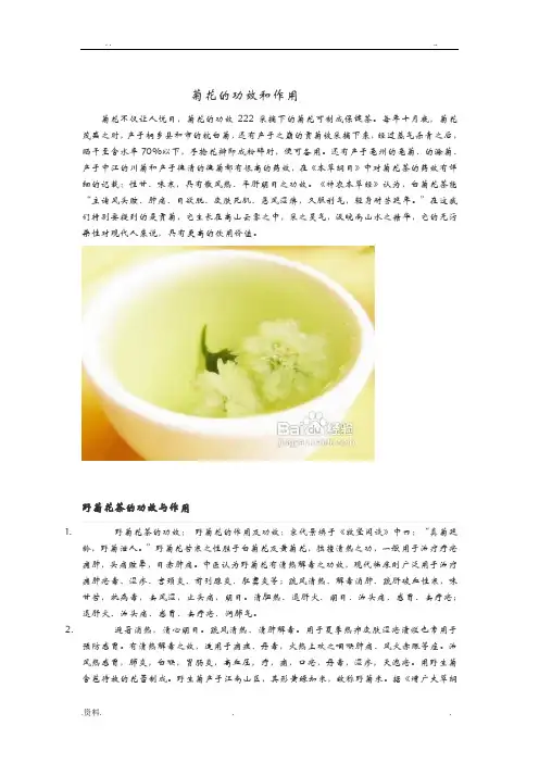 菊花的功效和作用