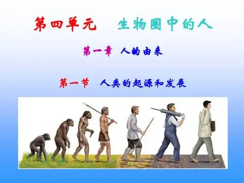 人教版生物七年级下册第一章第一节人类的起源和发展(共25张PPT)