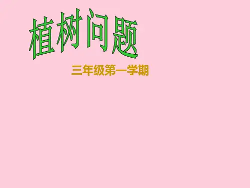 三年级上册数学课件-6.6 整理与提高(数学广场-植树问题)▏沪教版 (共28张PPT)
