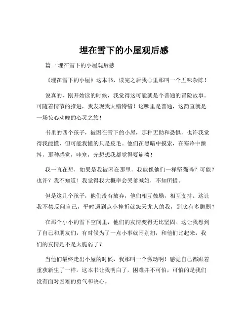 埋在雪下的小屋观后感