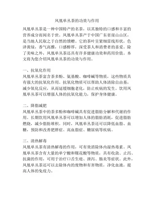 凤凰单丛茶的功效与作用