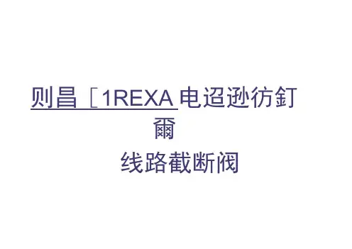 REXA开关型电液执行机构