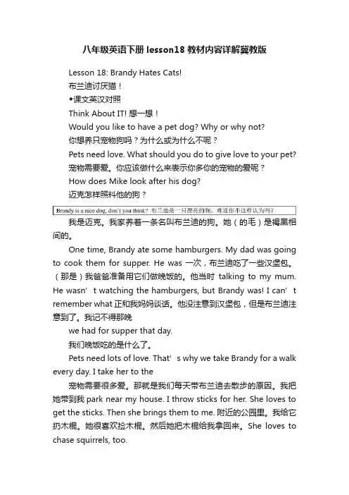 八年级英语下册lesson18教材内容详解冀教版