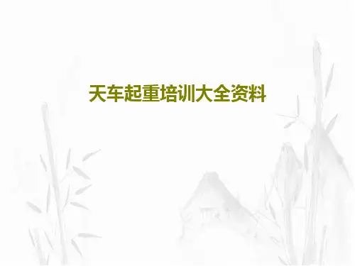 天车起重培训大全资料共29页文档