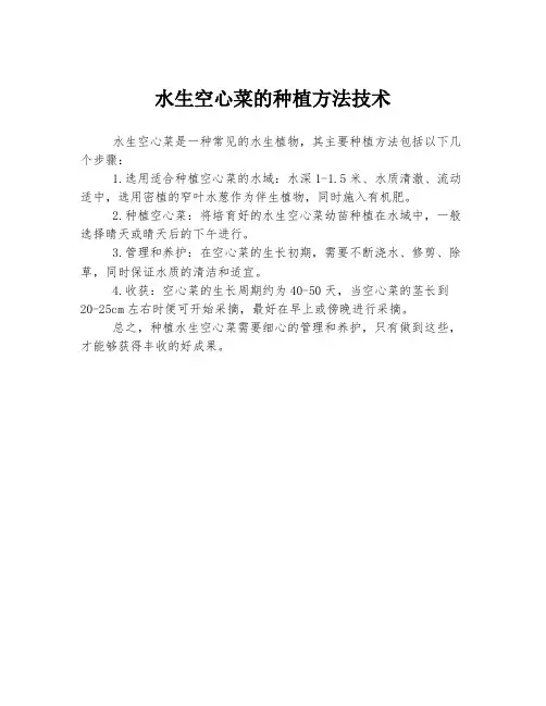 水生空心菜的种植方法技术