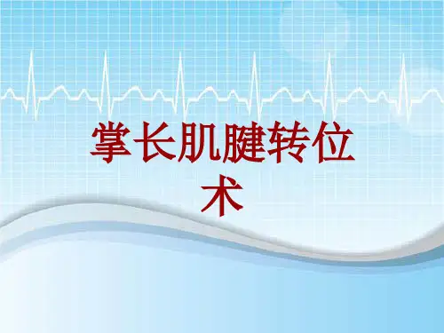 手术讲解模板：掌长肌腱转位术
