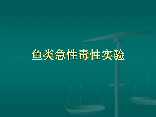 鱼类急性毒性实验