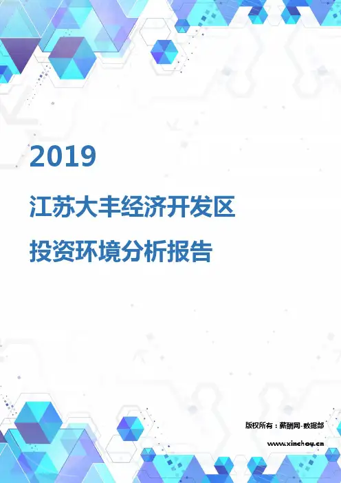 2019年江苏大丰经济开发区投资环境报告