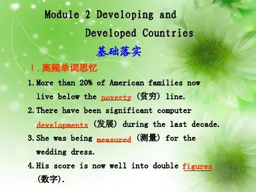 developing and developed countriesPPT教学课件