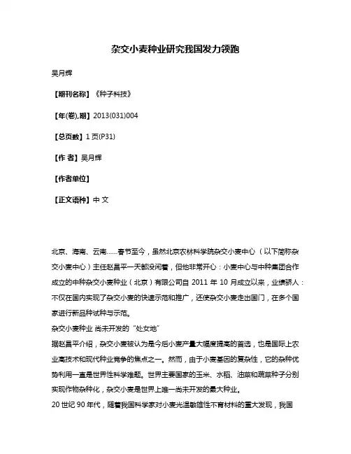 杂交小麦种业研究我国发力领跑