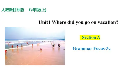 Unit 1 Section A Grammar Focus-3c  八年级英语上册(人教版新目标)