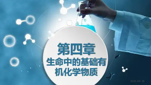 人教版高中化学《蛋白质》优质课件1
