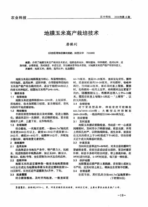 地膜玉米高产栽培技术