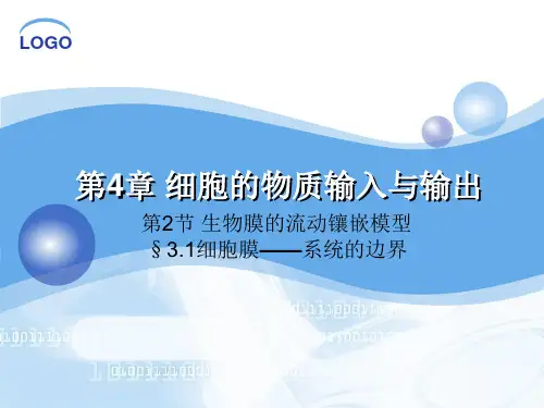 4.2 细胞膜的流动镶嵌模型