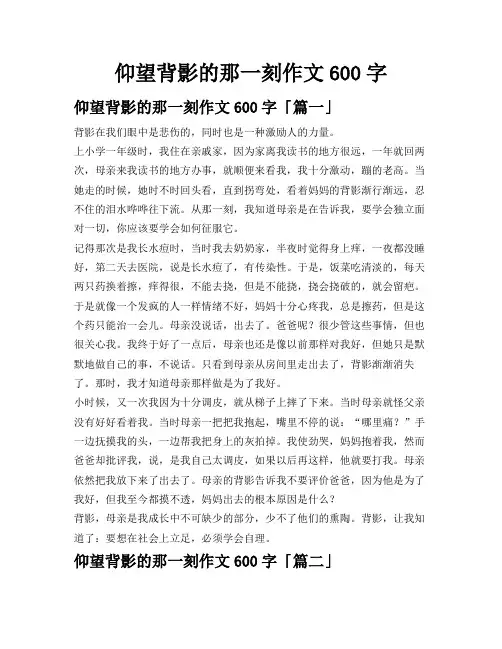 仰望背影的那一刻作文600字