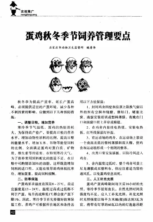 蛋鸡秋冬季节饲养管理要点