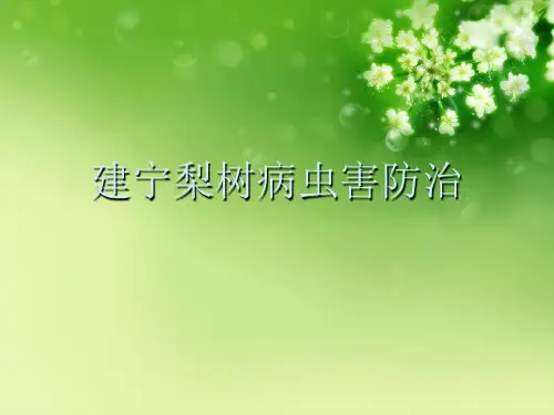 建宁梨树病虫害防治优秀课件