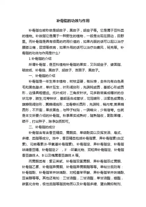 补骨脂的功效与作用