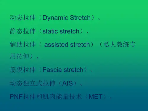 肌肉拉伸课件