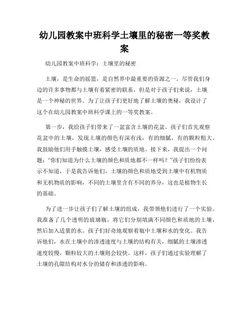 幼儿园教案中班科学土壤里的秘密一等奖教案